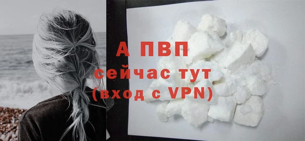 ECSTASY Кинешма