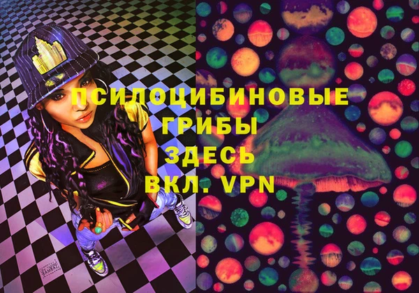 крисы Карпинск