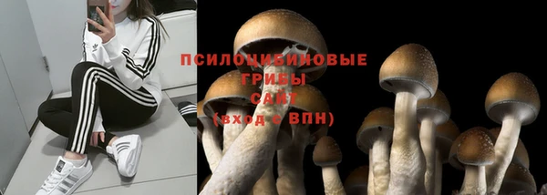 ECSTASY Кинешма