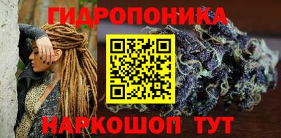 амф Новозыбков