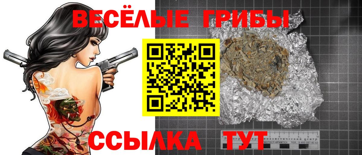 Котовск  Галлюциногенные грибы GOLDEN TEACHER  Вход с VPN  купить наркотик  Галлюциногенные грибы GOLDEN TEACHER 