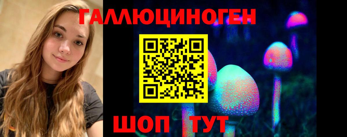 Псилоцибиновые грибы прущие грибы Котовск
