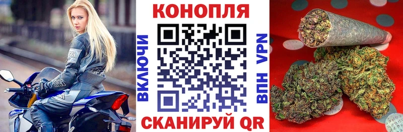 купить наркотики сайты  Котовск  ссылка на мегу ссылки  Шишки марихуана план 